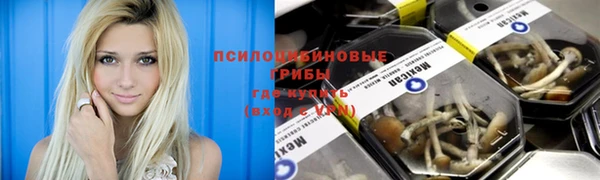 прущая мука Гусев