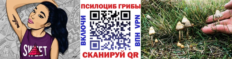 Купить где  Новоалександровск  Галлюциногенные грибы MAGIC MUSHROOMS 